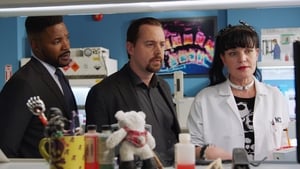 NCIS – Unità anticrimine 15 – Episodio 14