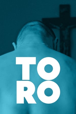 Poster Toro 2015