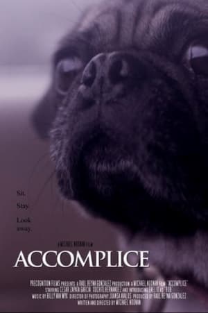 Poster di Accomplice