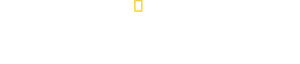 En un abrir y cerrar de ojos — Logos 7