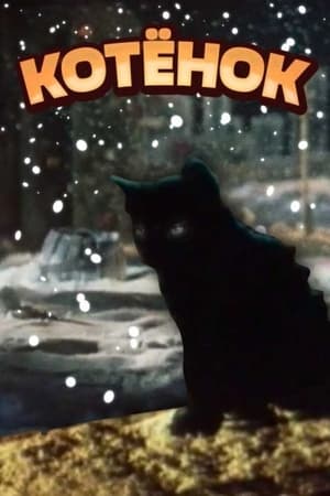 Poster The Kitten (1979)