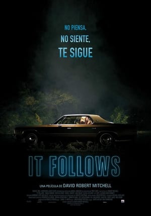 Poster It Follows 2015