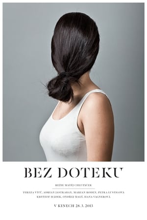 Poster Bez doteku 2013