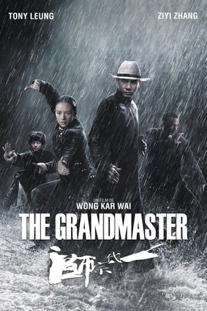 Poster The Grandmaster 2013