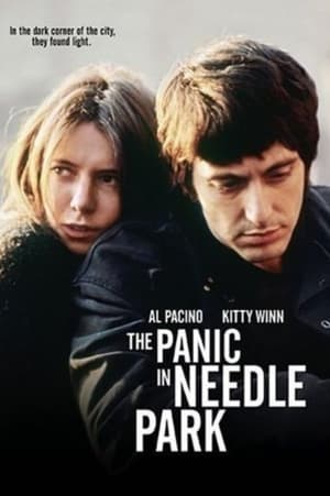 Panic on the Streets of New York film complet
