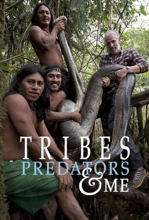 Image Tribes, Predators, and Me