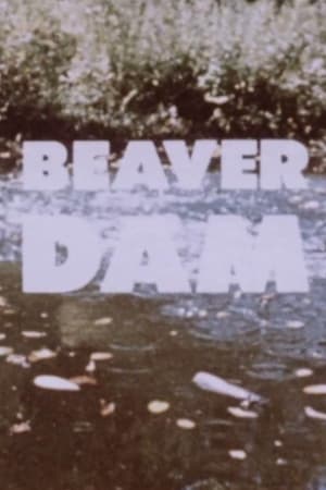 Poster Beaver Dam 1960