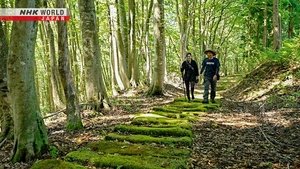 Journeys in Japan: 14×23