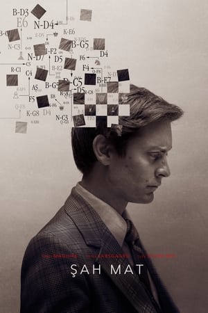 Pawn Sacrifice