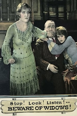 Poster Beware of Widows 1927