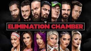 WWE Elimination Chamber 2018 film complet