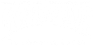 原振俠與衛斯理 — Logos 2