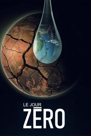 Poster Le jour zéro 2020