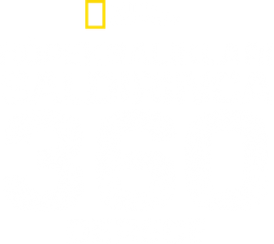 When Sharks Attack 360 — Logos 6