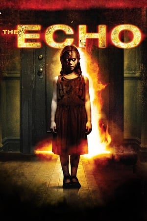 Poster Echo 2008