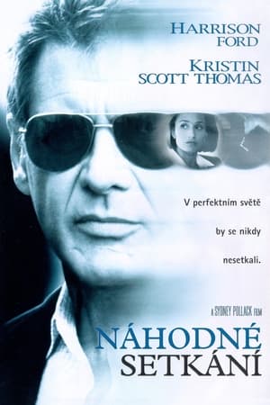 Poster Náhodné setkání 1999