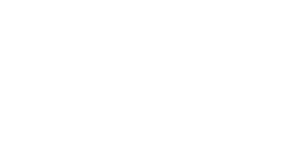 Coronel Chabert: Amor e Mentiras — Logos 2