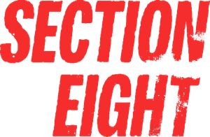Section 8 — Logos 2