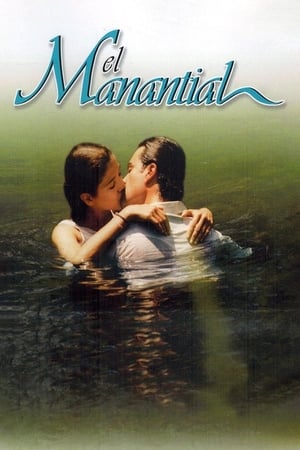 Poster El Manantial 2001