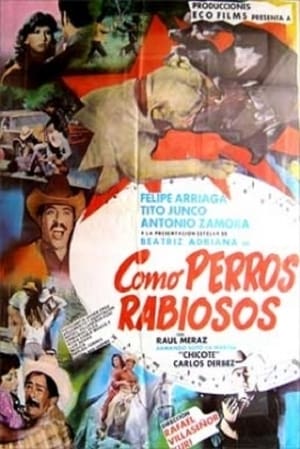 Poster Como perros rabiosos (1980)