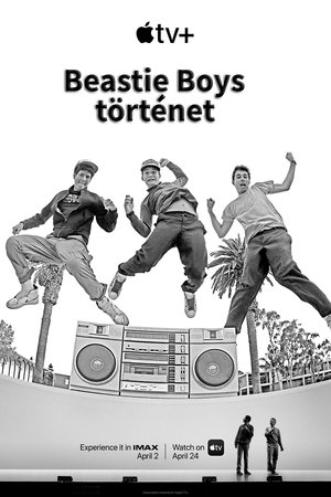 Image Beastie Boys Story