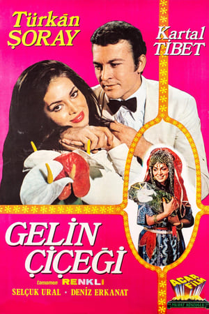 Poster Gelin Çiçeği 1971