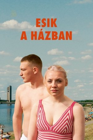 Image Esik a házban