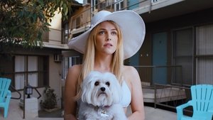 El Misterio de Silver Lake (2018) DVDRIP LATINO