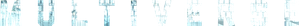 Multiverse