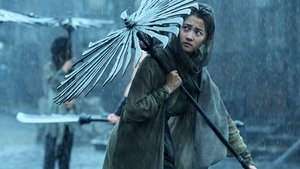 Shadow ( 2018 )