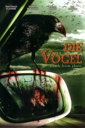 Die Vögel - Attack from above (2007)