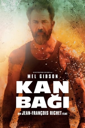 Image Kan Bağı