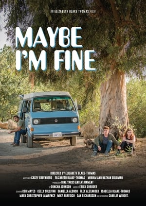 Poster Maybe I'm Fine 2019