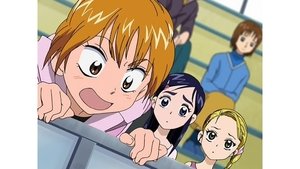 Pretty Cure: 2×40