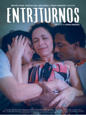 Poster Entreturnos (2014)