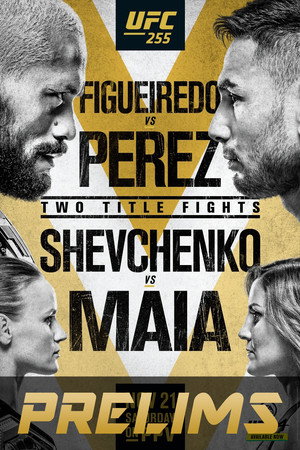UFC 255: Figueiredo vs. Perez 3