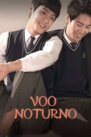 Poster Vôo noturno 2014