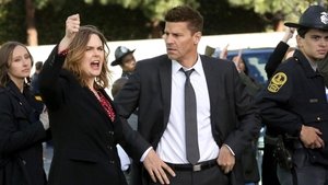 Bones: 11×12