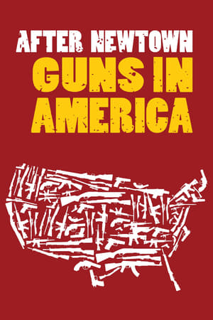 Poster After Newtown: Guns in America 2013