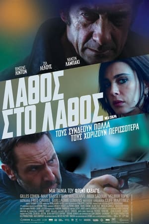 Poster Λάθος στο Λάθος 2014