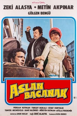 Poster Aslan Bacanak (1977)