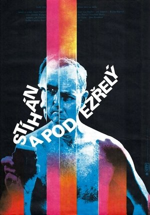 Poster Stíhán a podezřelý 1979