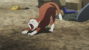 Nyaight of the Living Cat Dublado Episódio 10