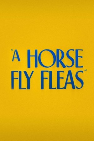 A Horse Fly Fleas A Horse Fly Fleas