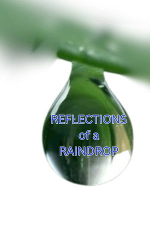 Ver Reflections in a Raindrop: A Student Film online en HD