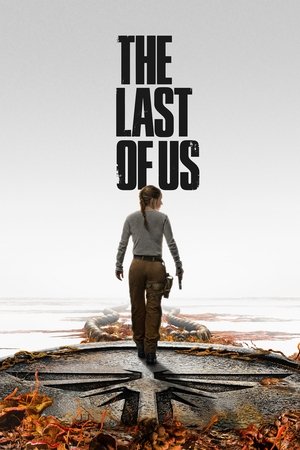 poster The Last of Us - Season 1 Episode 5 : Endure and Survive