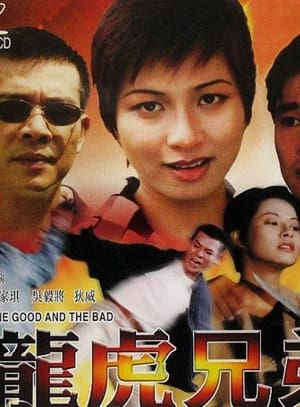 Poster 龍虎兄弟 1999