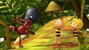 Maya the Bee To-Xi-Kant