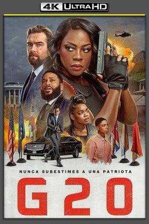 poster G20