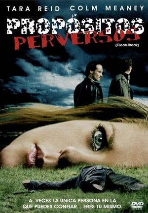 Poster Propósitos perversos 2008